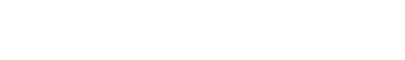 Footer Text
